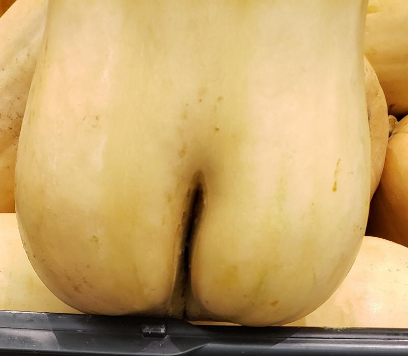 Butternut Squash-20201019