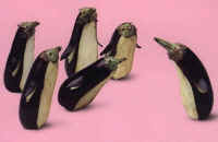 Photo - 03