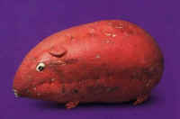 Photo - 08