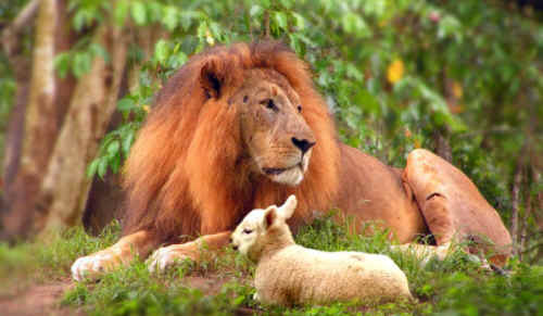 ../images/an-tpr-tdiv-christianity