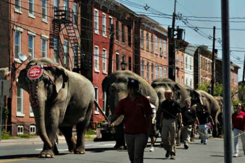 ../images/ar-zoe-looking-01