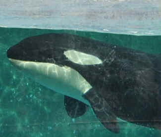 ../images/ar-zoe-looking-02