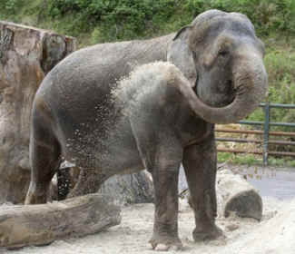 ../images/ar-zoe-looking-03