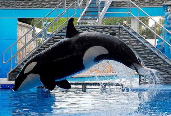 ../images/ar-zoe-osha