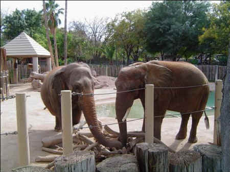 ../images/ar-zoe-split