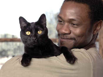 ../images/ar-zoe-teach-01