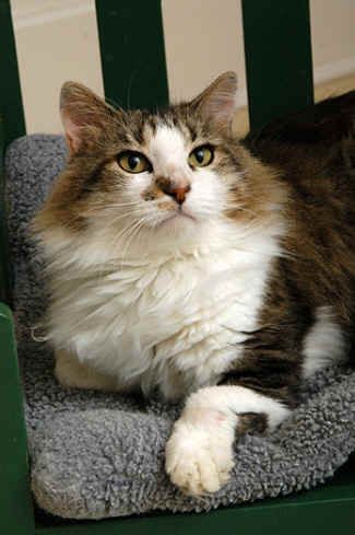 ../images/ar-zoe-teach-02