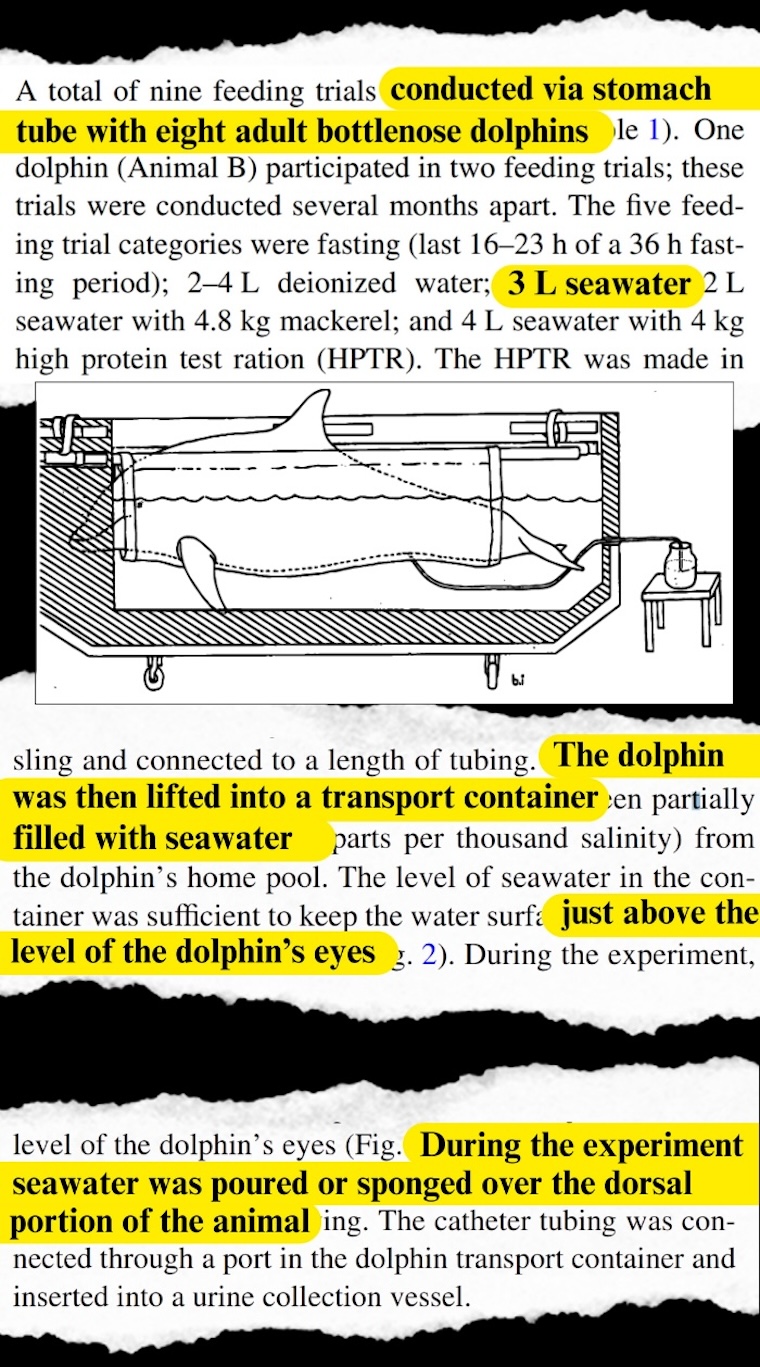 US Navy vivisects sea lions