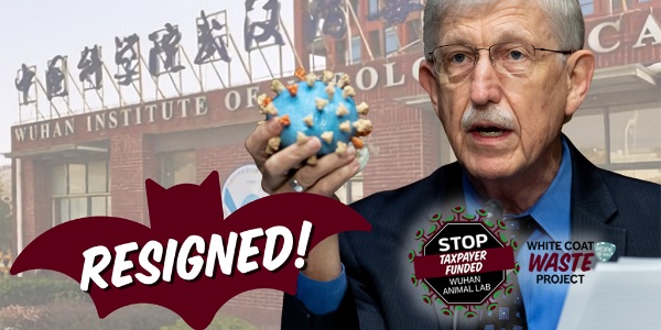 Francis Collins
