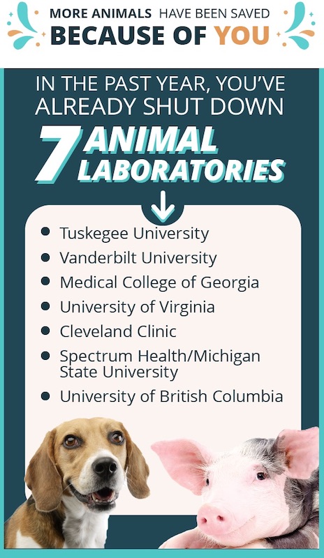 animal labs