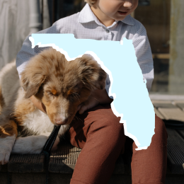 human child, puppy, and state of Florida
