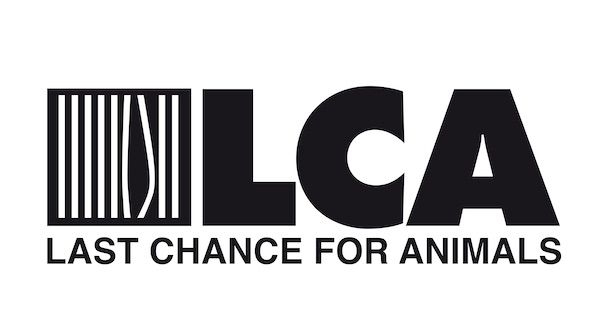 last chance for animals