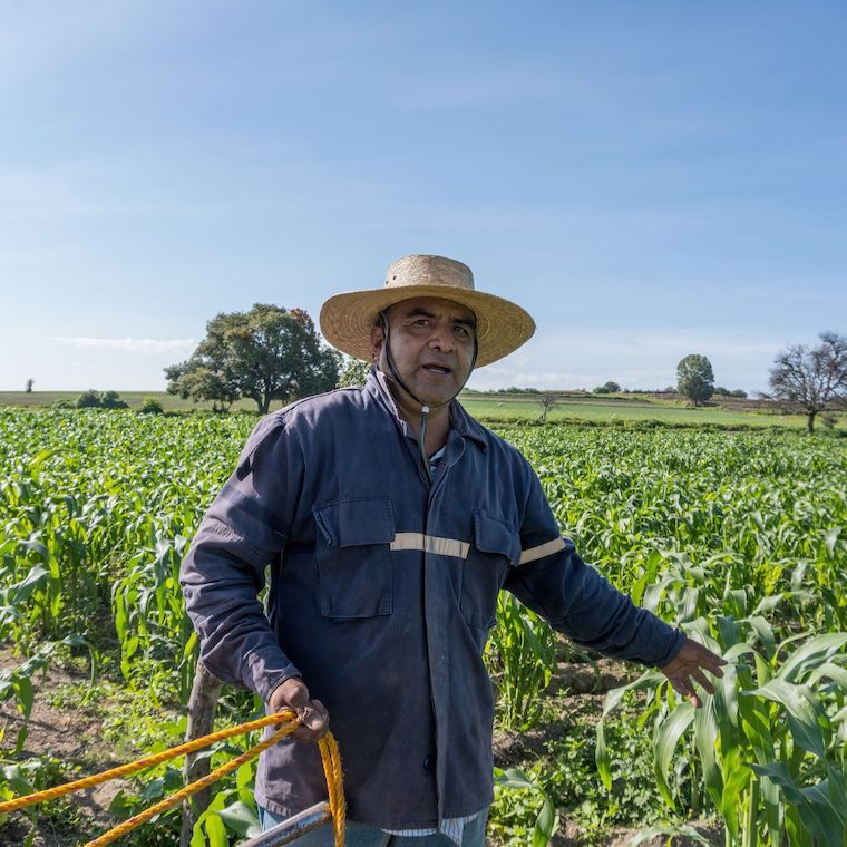 Mexican farmer