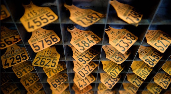 slaughter tags