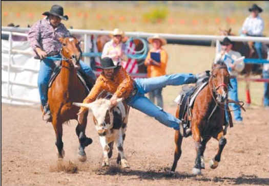 Wrestling with Animal Cruelty