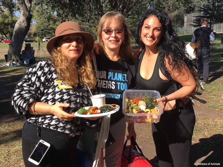 Annual Vegan Potluck Picnic