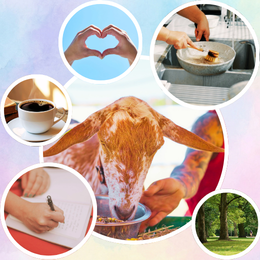 goat, heart hands, doing dishes, coffee, writing, and park