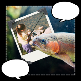 rainbow trout, child fishing, and speech bubbles