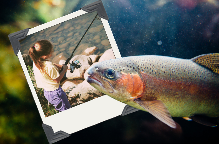 rainbow trout and child fishing