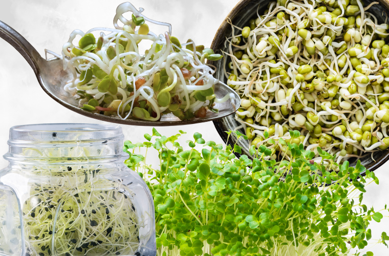 various sprouts