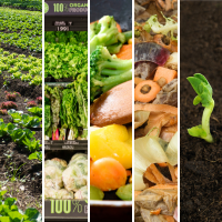 lifecycle of plant-based food