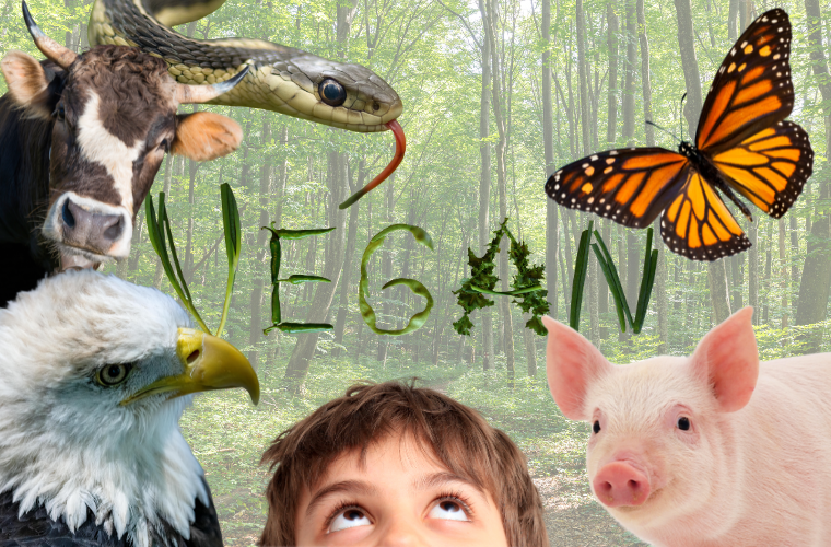 the word vegan and animals
