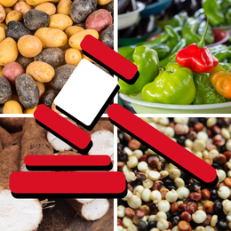 gavel and traditional Peruvian ingredients