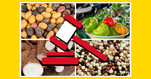 gavel icon and traditional Peruvian ingredients