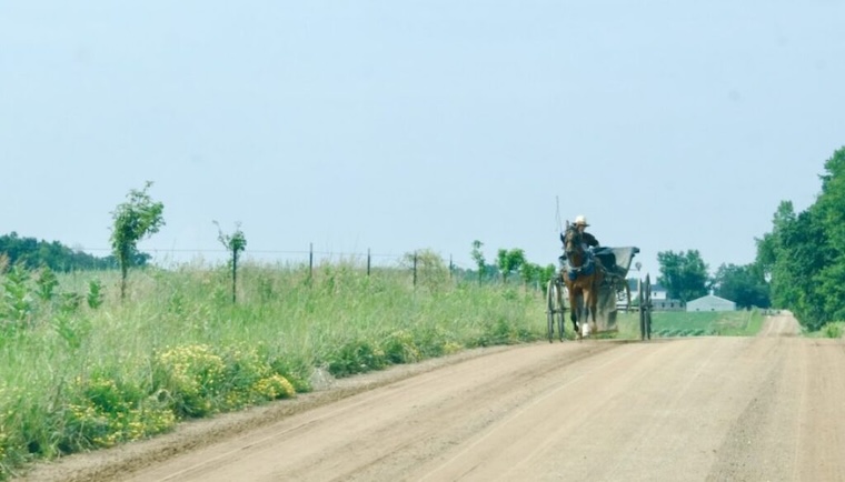Amish buggy