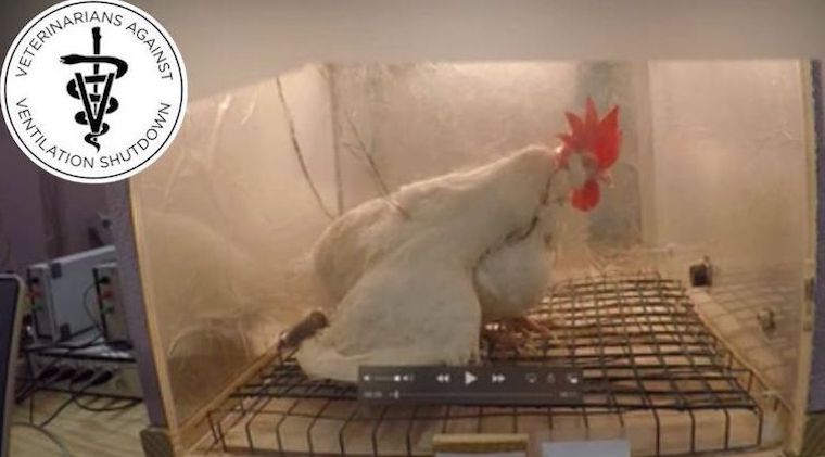 ventilation shutdown experiment