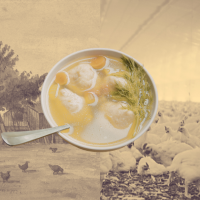 farm, chickens, and matzo ball soup