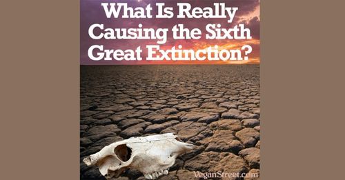 What Is Really Causing the Sixth Great Extinction?