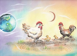 Chickens