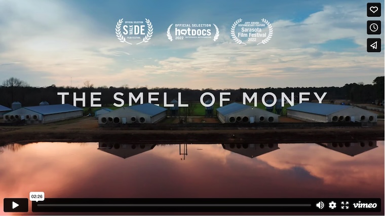 smell of money