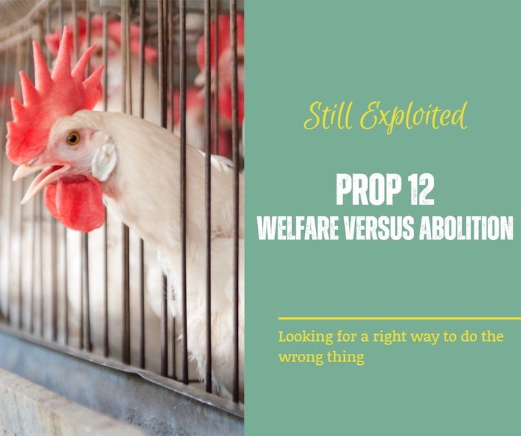 welfare vs. abolition