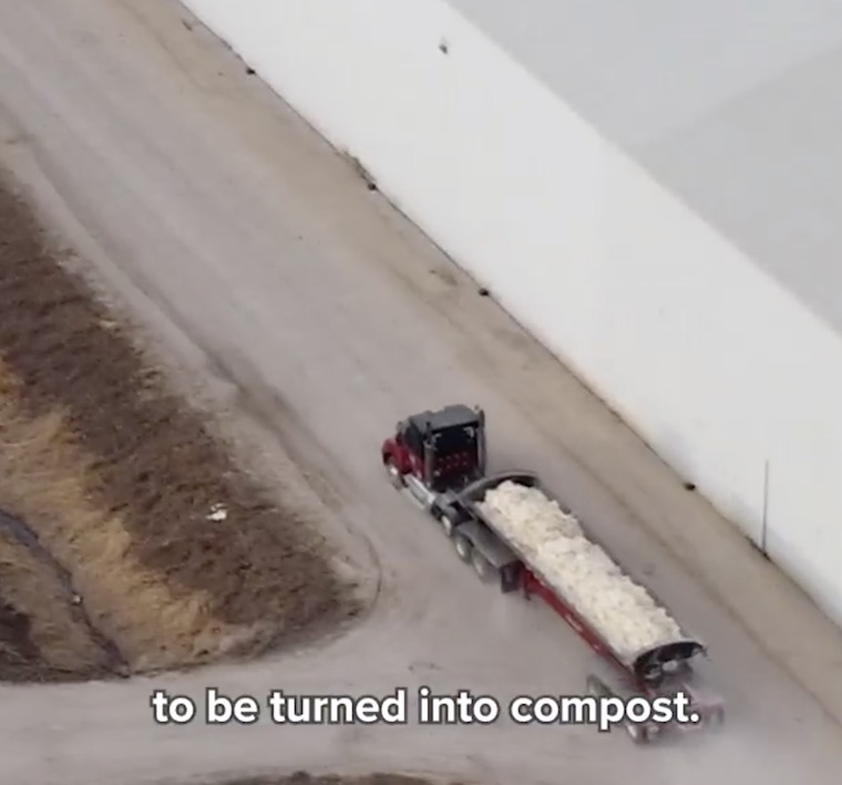 dead Hens composted