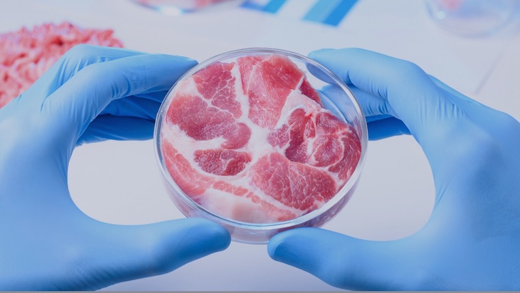 lab meat