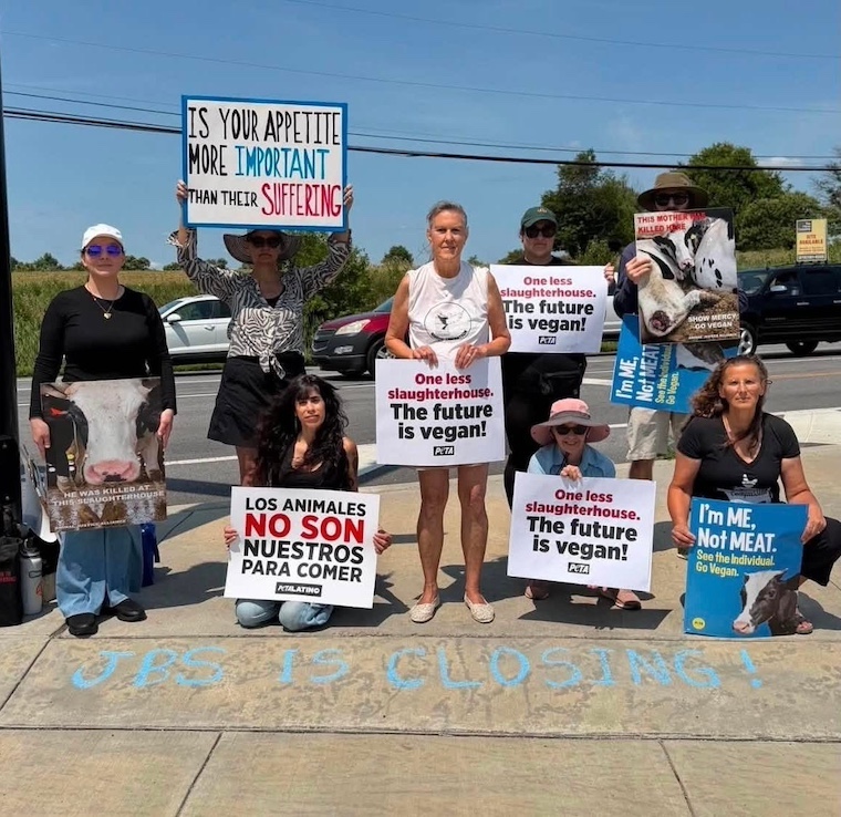 humans at vigil with signs