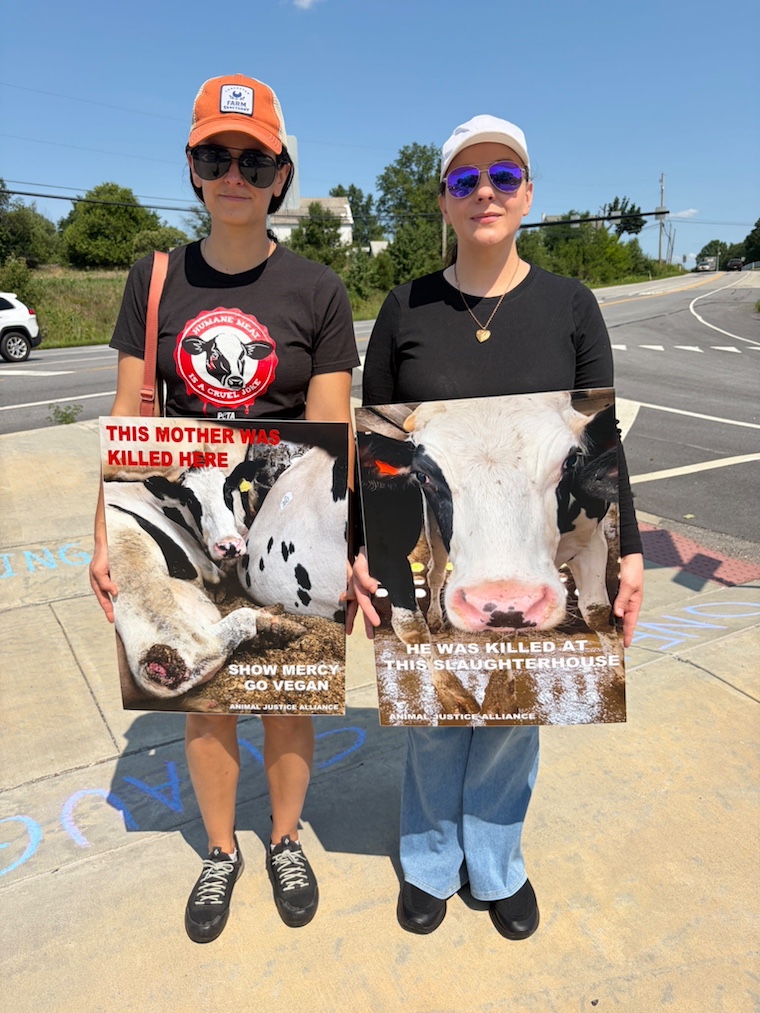 humans at vigil with signs