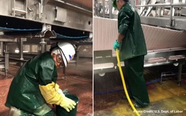 child labor in slaughterhouses