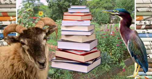 images representing content in this week's newsletter