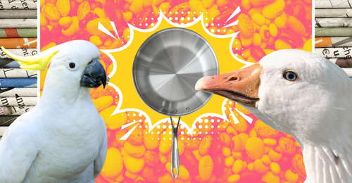 images representing content in this week's newsletter