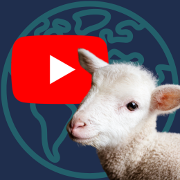 lamb, globe icon, and YouTube logo