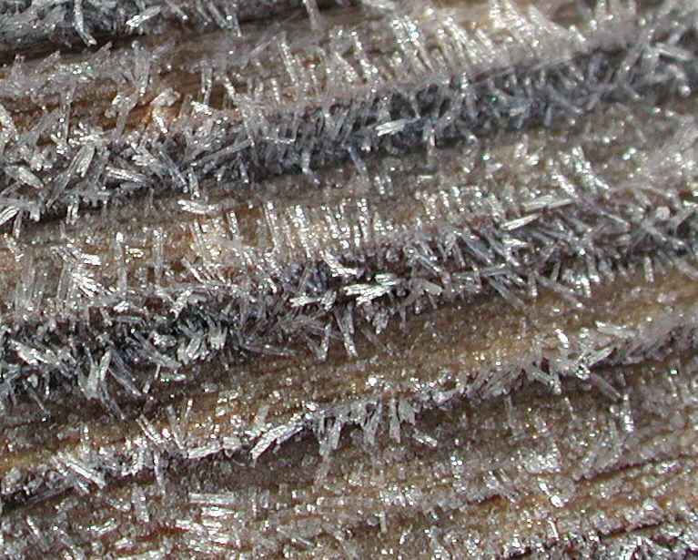 Frost: The Jewels of Winter - 06b