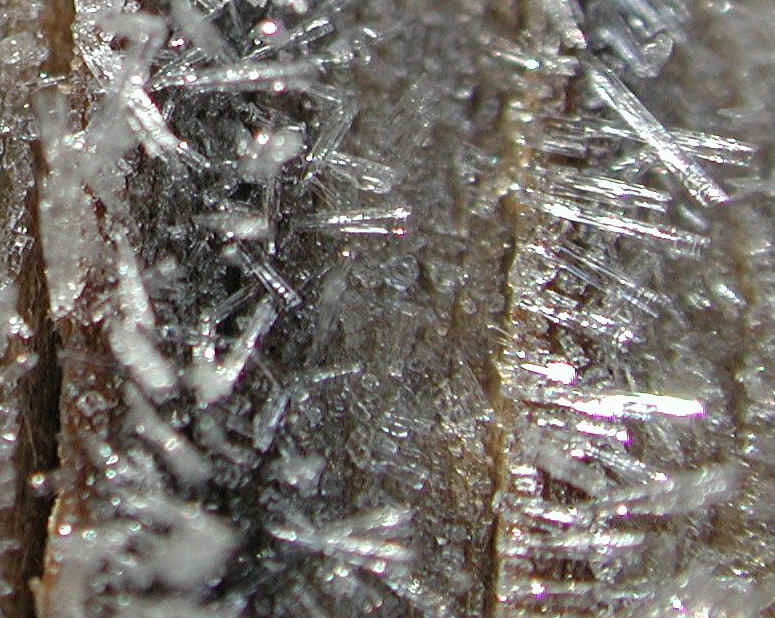 Frost: The Jewels of Winter - 07b