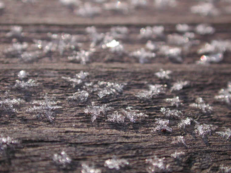 Frost: The Jewels of Winter - 10