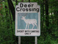 Sleepy Hollow Lake - Deer Crossing Sign