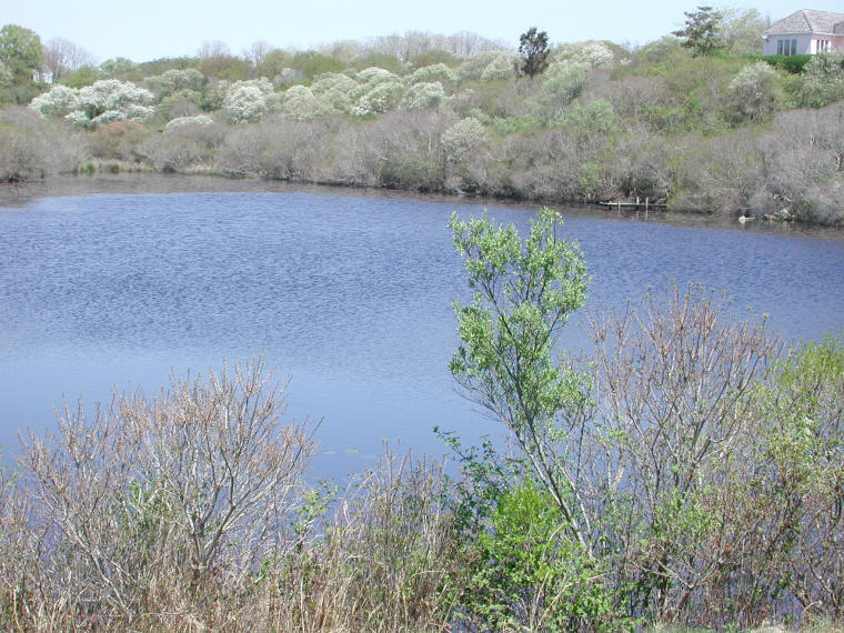 bid-20100505-32