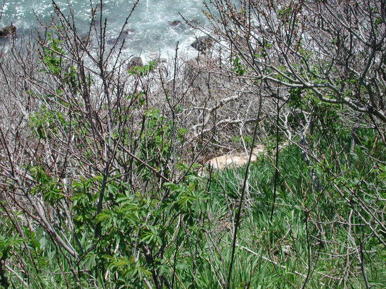 bid-20100505-38
