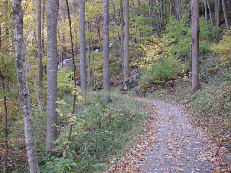 Crabtree Falls - George Washington National Forest - 3 Nov 2005 - 005